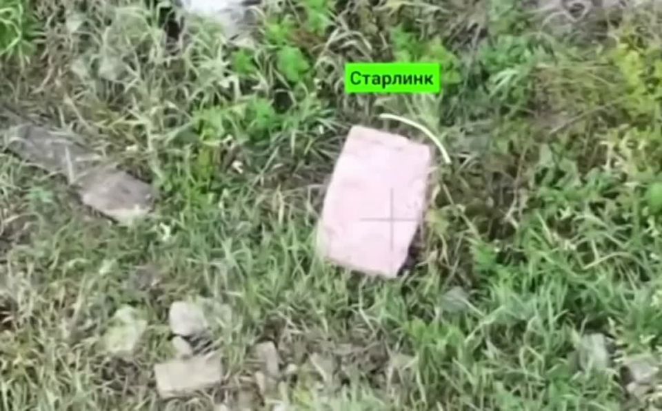 ����� ���������� ���� ��� ��������� ����� �����