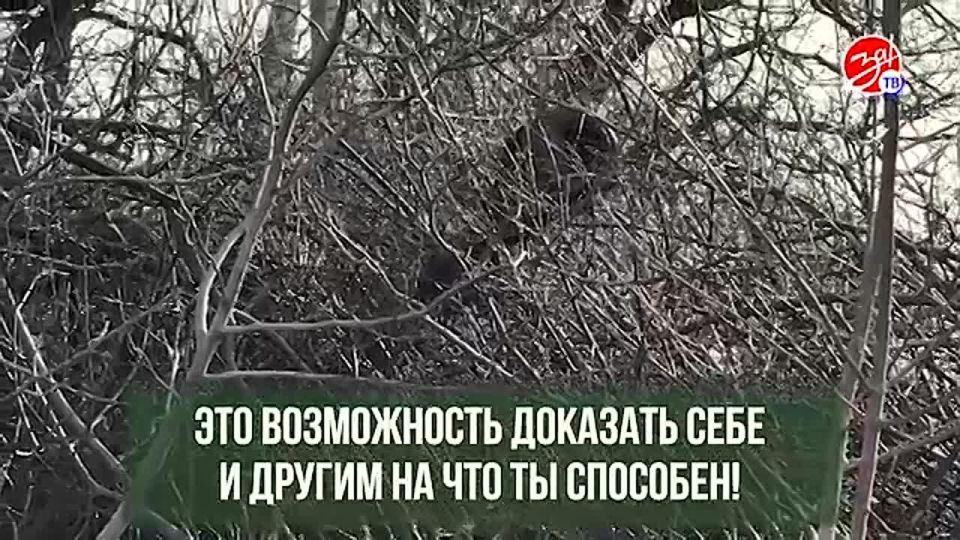 ��������� ������: ���� � ���� � ������������