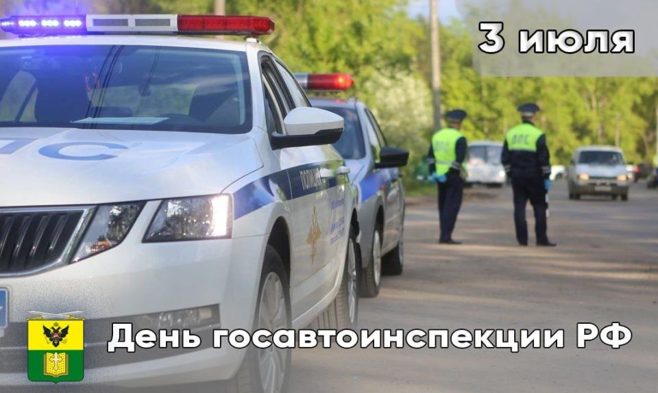 �������, 3 ����, ���������� ���� ����������������