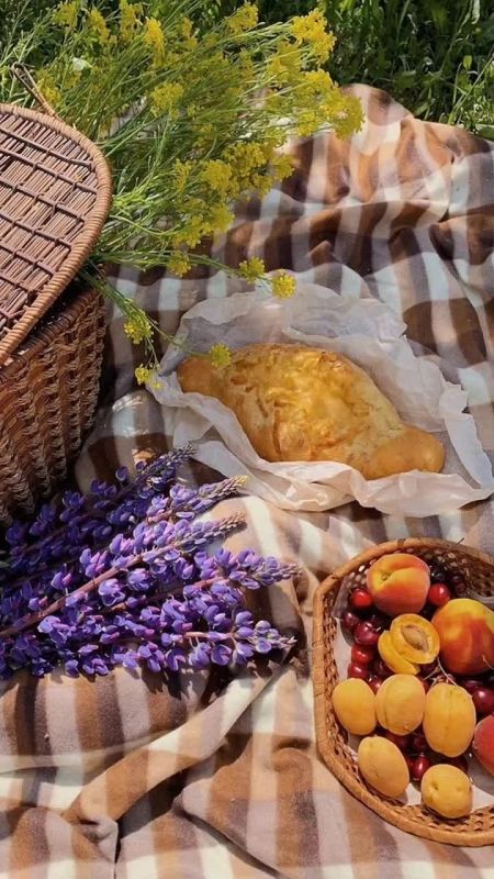 3 июля 2025 года. Сегодня, 3 июля 2025 года в Васильевке ясно, без осадков