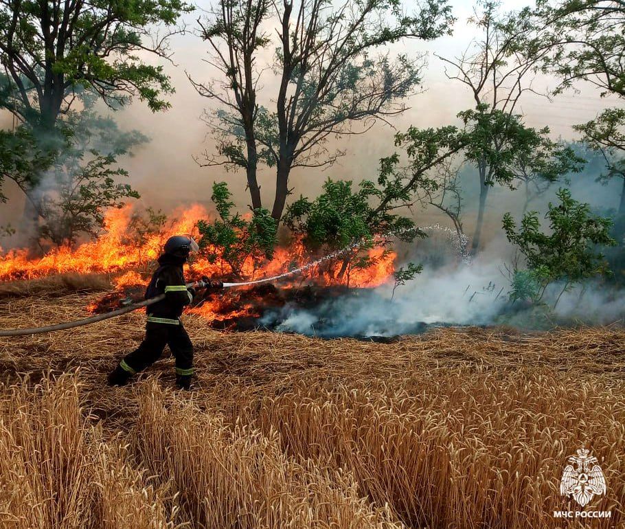 Оперативная информация за сутки