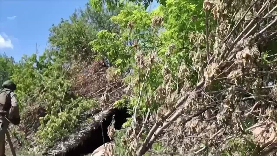 ������ 130-�� ����������� ����� �-46 4-� ��������� �������������� ������� 3-� ������������� ����� ����� ����������� ����� ����� �������� �������������� ���� �� �������� ����������