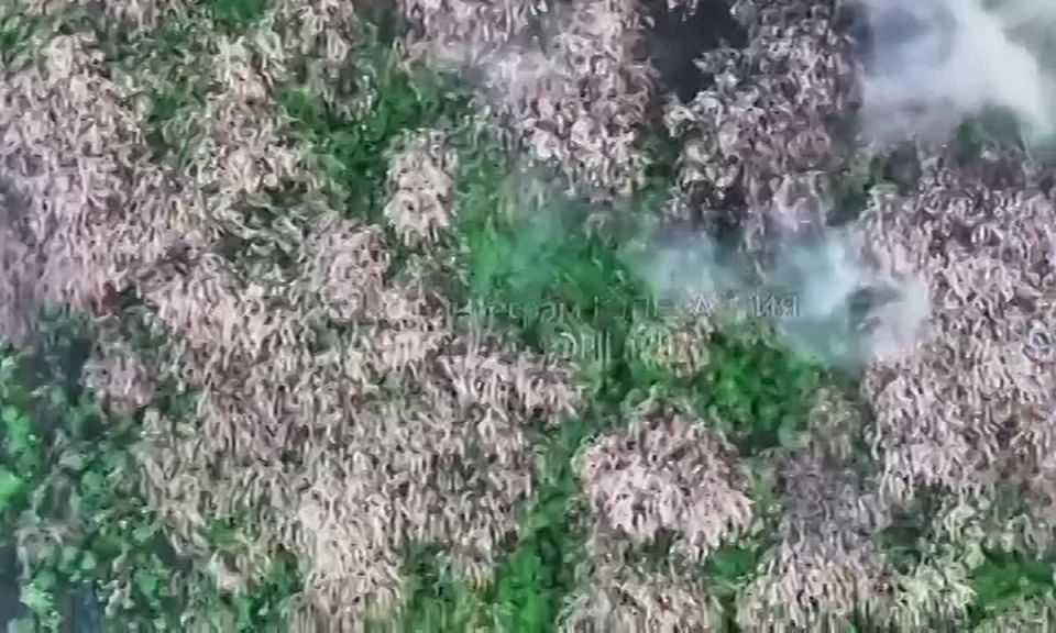 ����� ������ ��� ����.. ���� ����� �� ����, �� ����� ������� �� ����