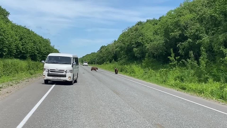 ���� �������� ������������� ���������� ���������
