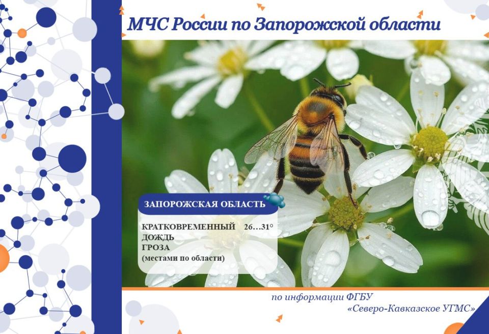 С 04 на 05 июля на территории региона ожидается: