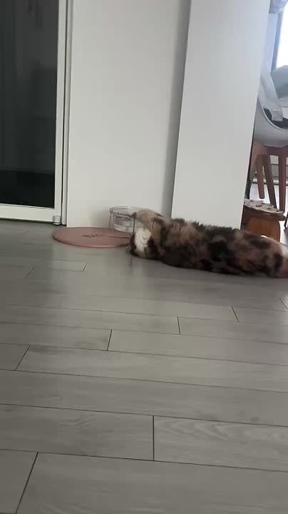 ����� ����� ������ �� ������