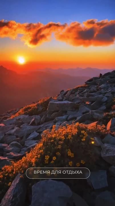 Новый Мелитопольподпишись