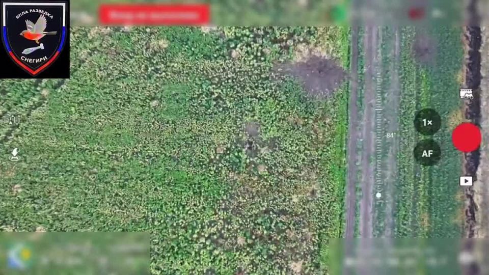 Операторы группы "Снегири" 37 гвардейской мотострелковой бригады уничтожают живую силу противника на Шахтёрском направлении