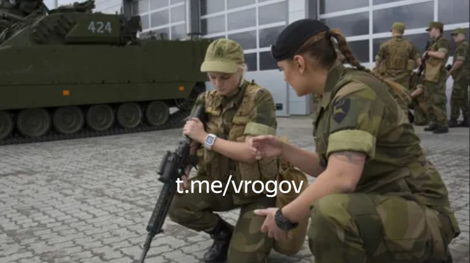 Владимир Рогов: ЕС продолжает открыто готовиться к войне с Россией