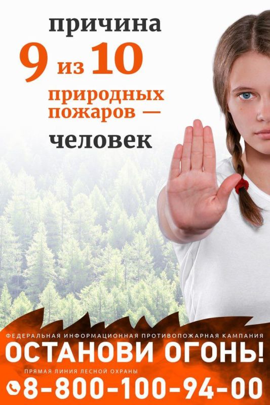 Останови огонь, сохрани лес!