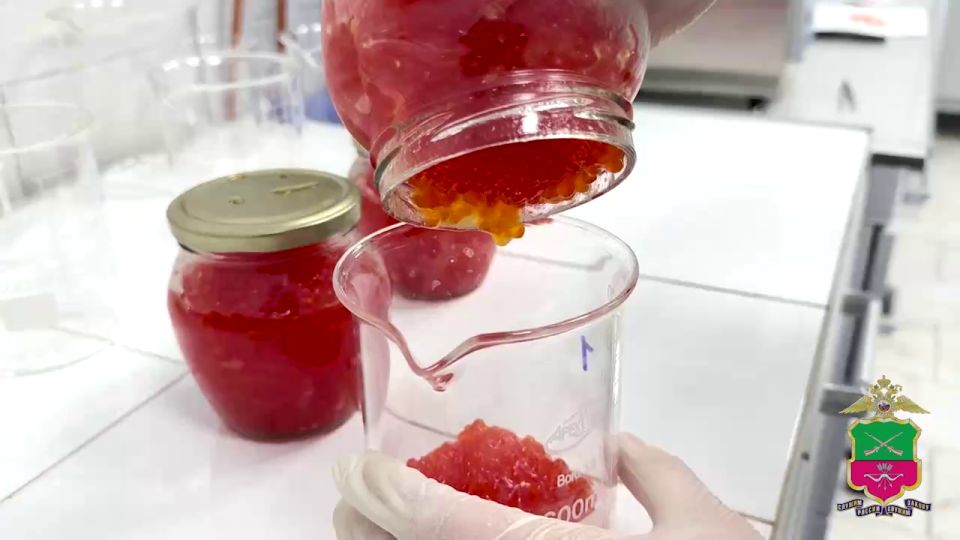 Аферистка, продавшая пенсионерке имитированную икру под видом натуральной, задержана в Запорожье