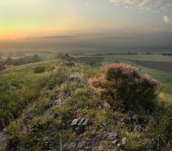 Заповедник «Степь Донецкая» создан на ряде территорий Запорожской области и ДНР
