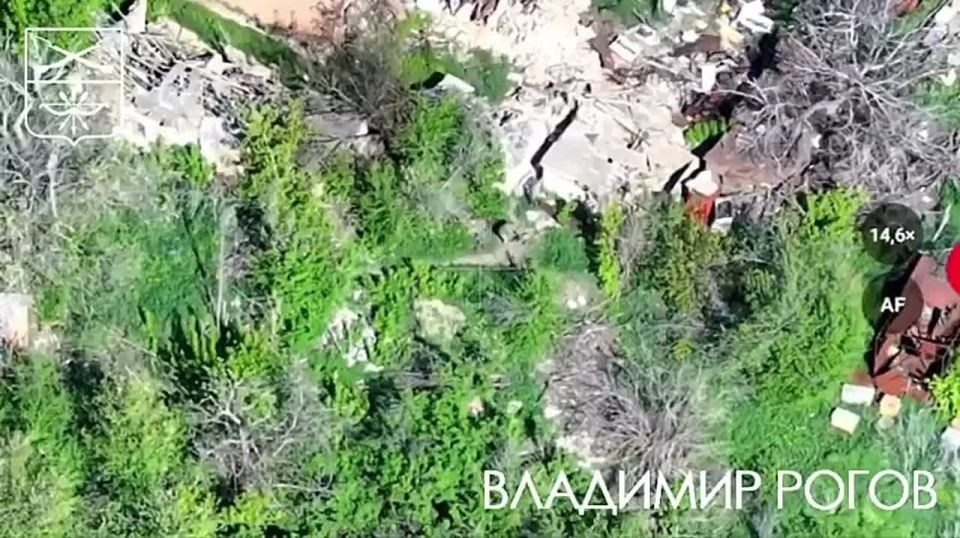 Владимир Рогов: Запорожские "Шаманы" против боевиков ЗеРейха