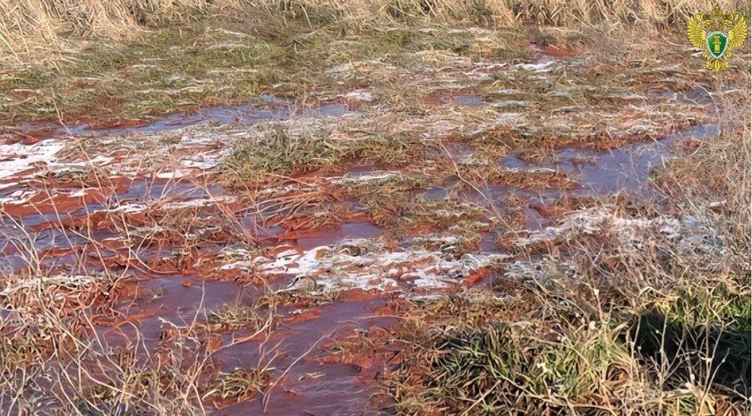 Днепрорудненский комбинат наказали за сброс отходов в реку Малый Утлюк