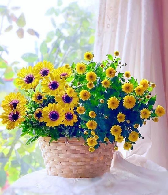 Доброе утро. А вы знали, что сегодня