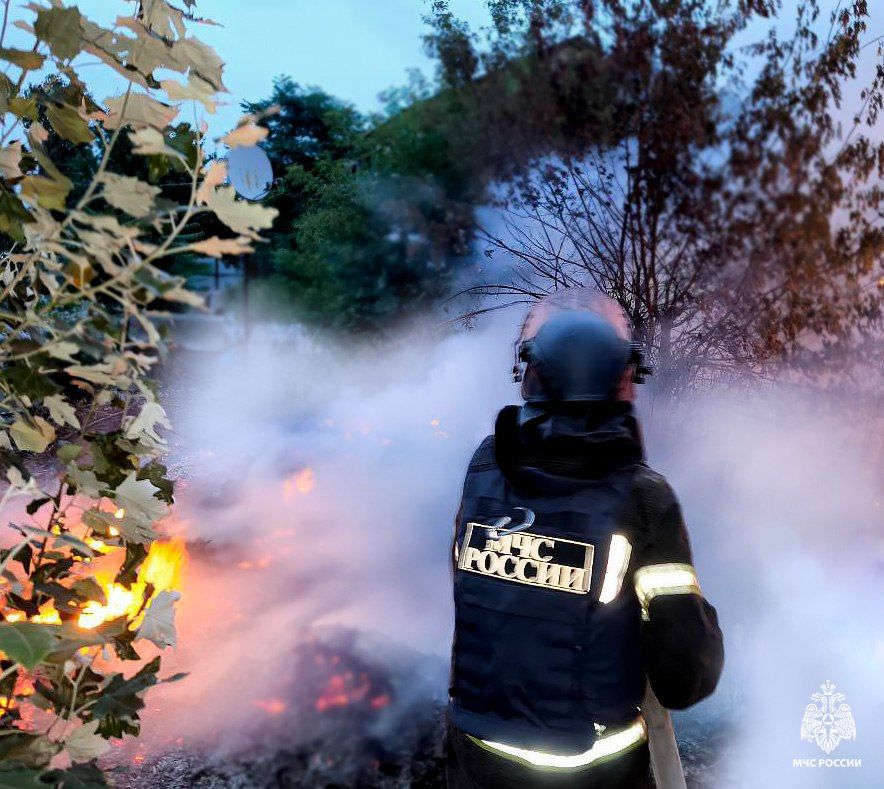 Оперативная информация за сутки