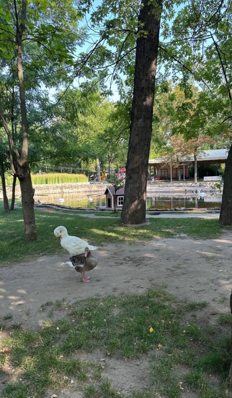 Летний день в любимом Мелитополе