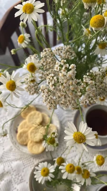 8 июля 2025 года. Сегодня, 8 июля 2025 года в Васильевке ясно, без осадков