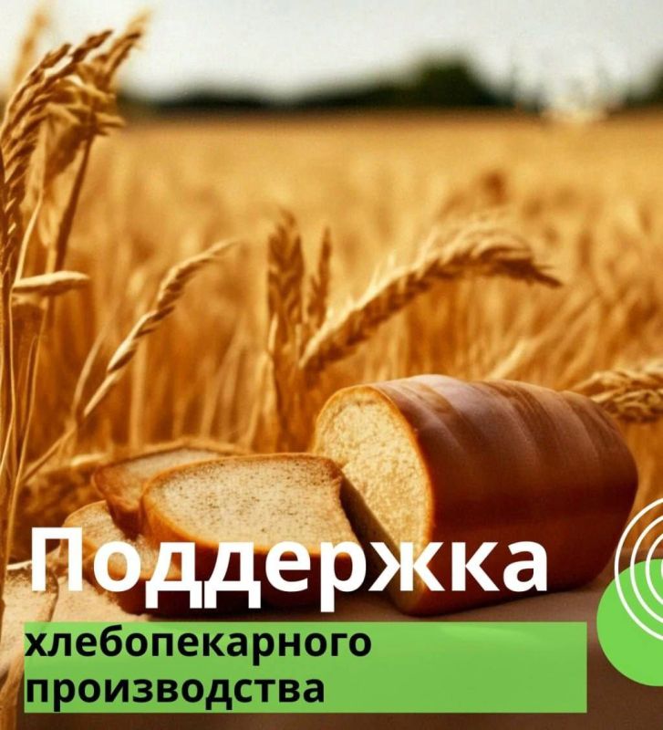Уважаемые аграрии!. Теперь организации и индивидуальные предприниматели могут получить поддержку на производство и реализацию хлеба и хлебобулочных изделий