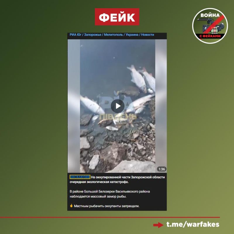 Фейк: Россияне устроили экологическую катастрофу в Запорожской области, из-за чего там массово гибнет рыба