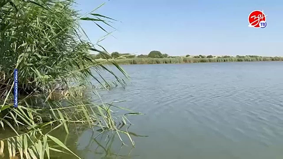 В этом году начнётся капитальный ремонт гидро-технического сооружения на реке Домузла