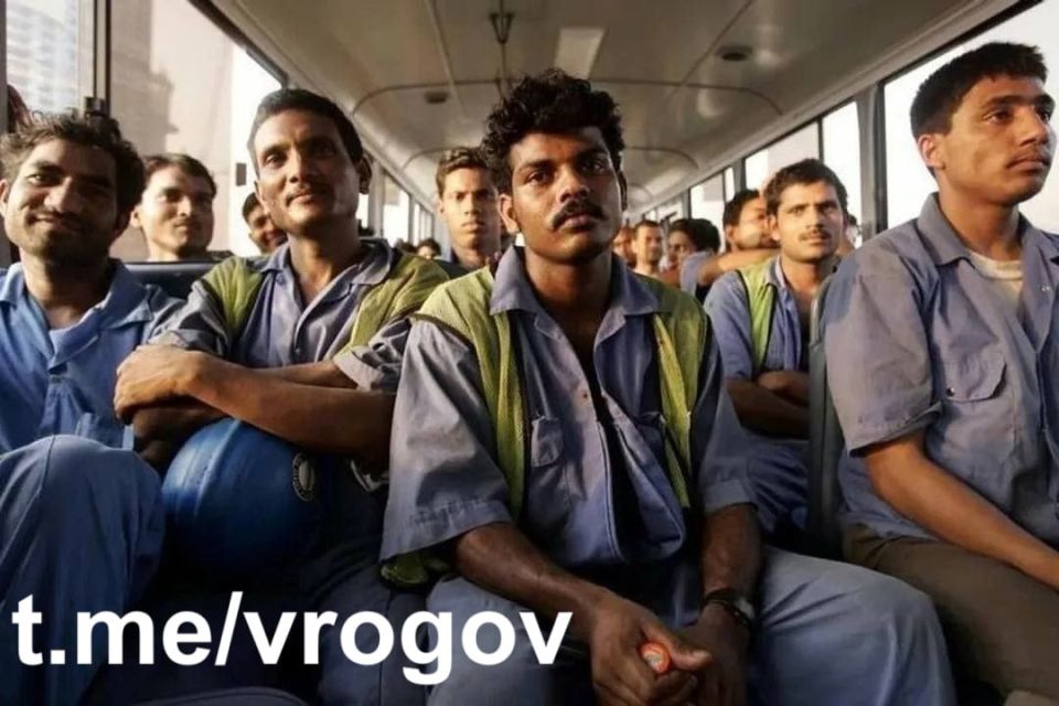 Владимир Рогов: Хинди руси бхай бхай!*. Более 1 млн трудовых мигрантов из Индии приедут в Россию, заявил глава Уральской ТПП Андрей Беседин