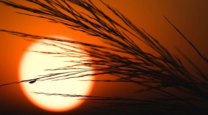 Летнее солнце — невидимая опасность