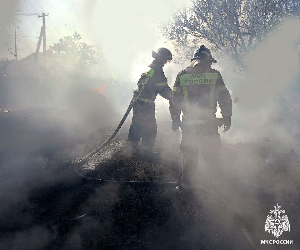 Оперативная информация за сутки