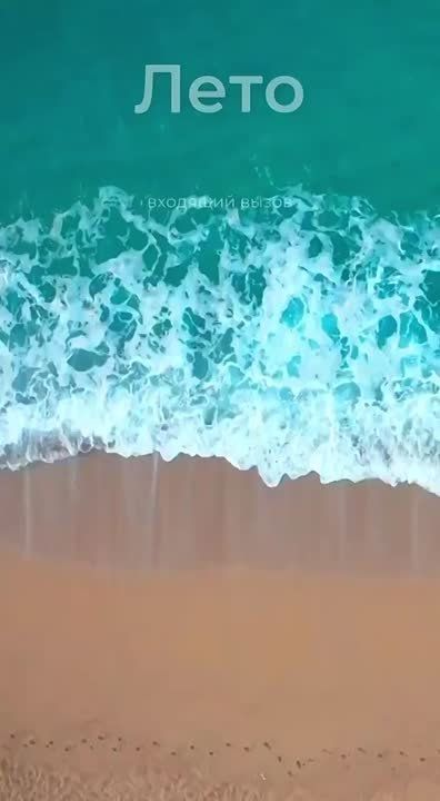 Друзья, не забудьте оплатить электроэнергию СЕГОДНЯ