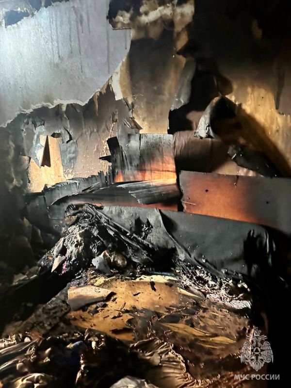 Мужчина и ребенок погибли на пожаре в Бердянске