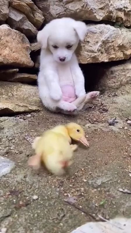 ������� ���� , ������� ������������!