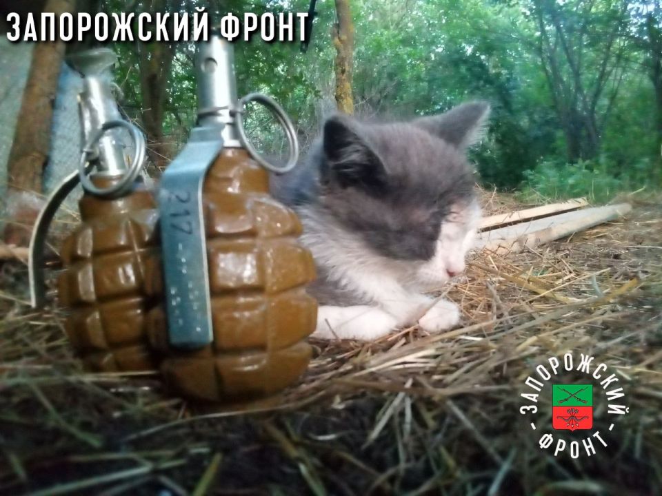 ���� ������� ���� � ������������ �����������