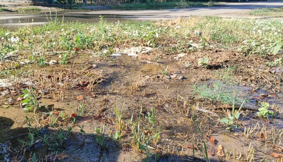 Уважаемые жители п.г.т. Акимовка