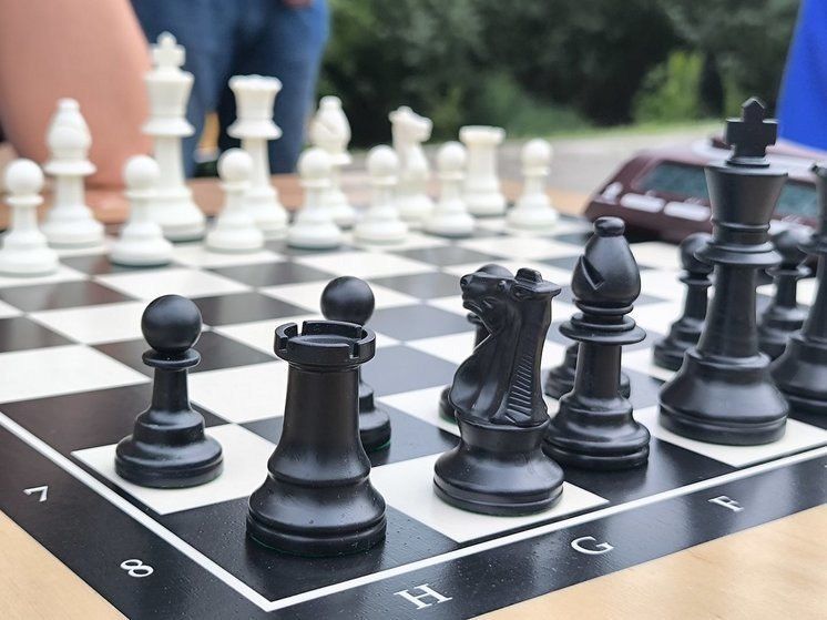 Бердянск отпразднует Международный день шахмат