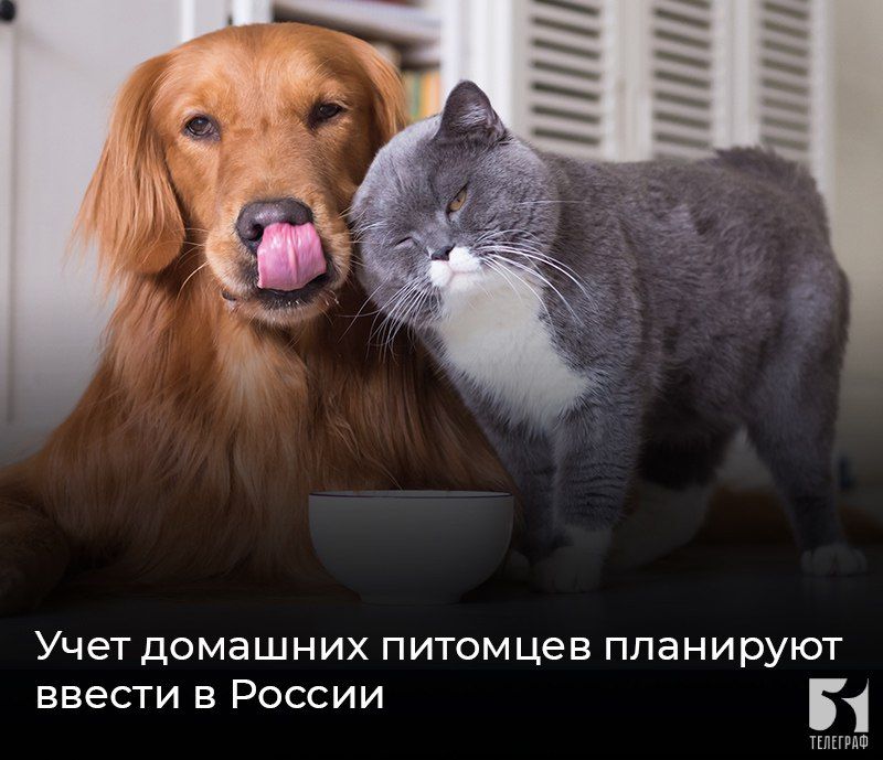 ���� �������� �������� ��������� ������ � ������