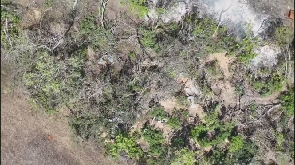 Запорожский фронт.. Операторы расчёта БпЛА группы "Огнемётка" 4 Военной Базы выжигают позиции укронацистов в окрестностях н.п. Орехов. ОПЕРАТОР АК | ОТДАЧА