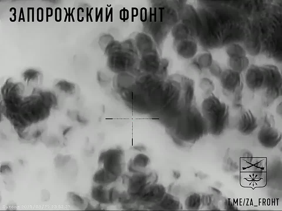 ����� �� 1455 ����� ���������� ������ � ����� ��� �����-��������� � ��� �����-���