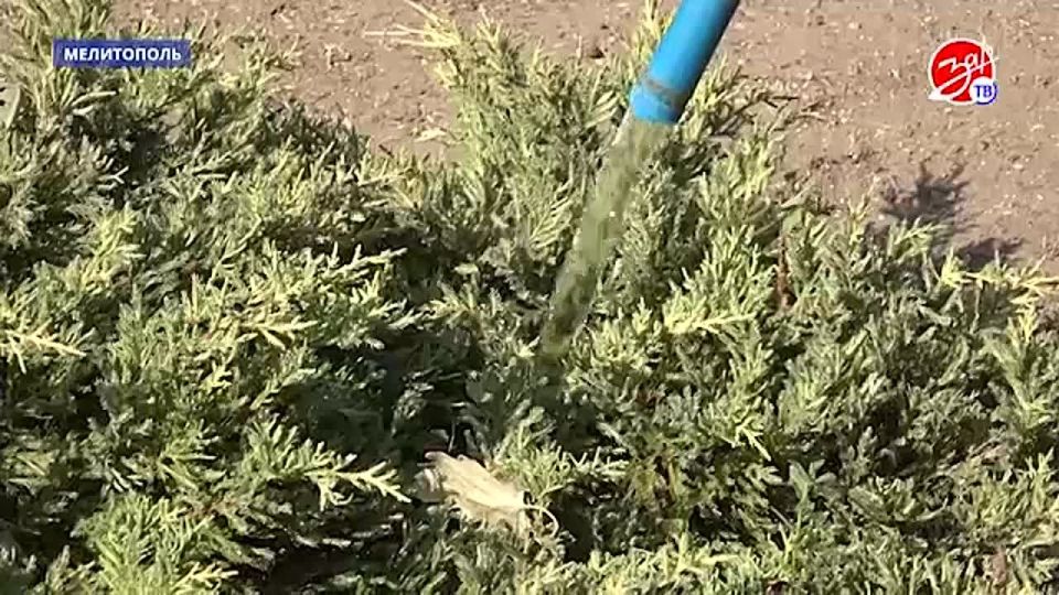 � ���������� ������������ ���� �� ����������� ��������� ��������
