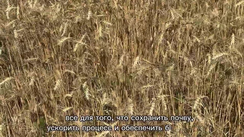 �� ����� �� ������������������ ����������� ������� ��������� ������ ������ � ������� �������
