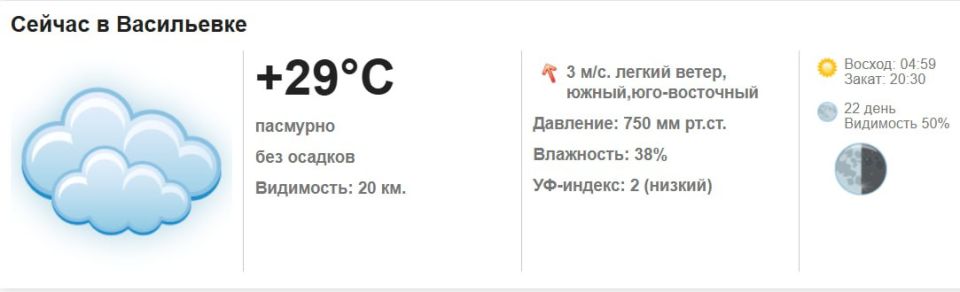 Сегодня, 17 июля 2025 года в Васильевке пасмурно, без осадков