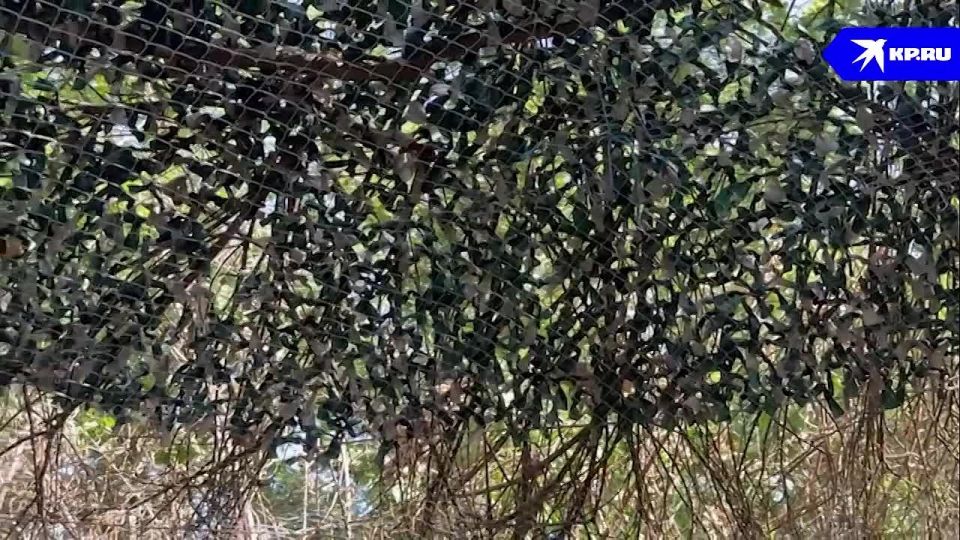 ����������� �������� ������ �� ������: � ����������� ������� ��������� ������� ��� ����������
