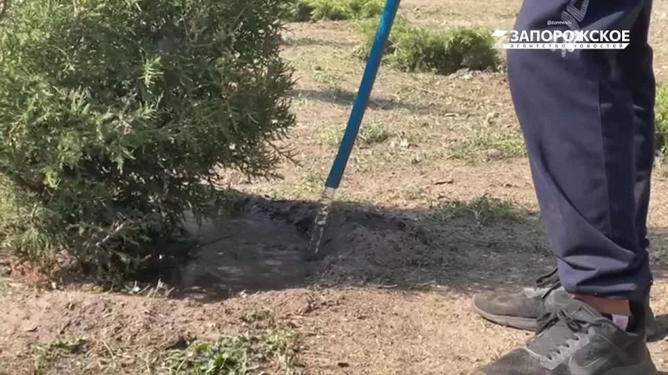 ���������� ������ �� �������� �������� � ����������