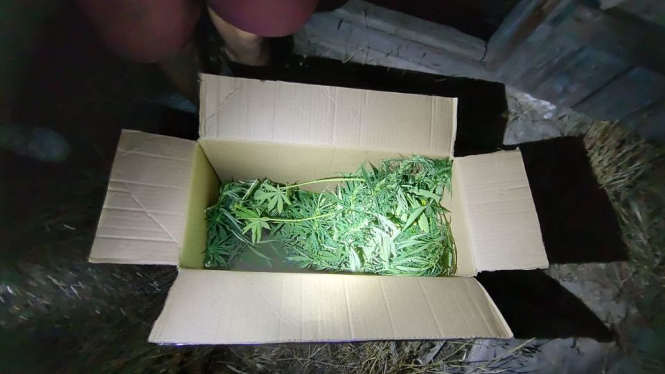 Сотрудники полиции Запорожской области изъяли запрещенные вещества