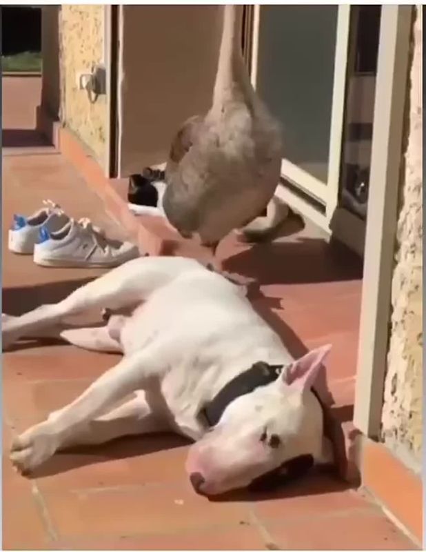 �������� ������ �� ������. ���� ���� � �� ���� �����������