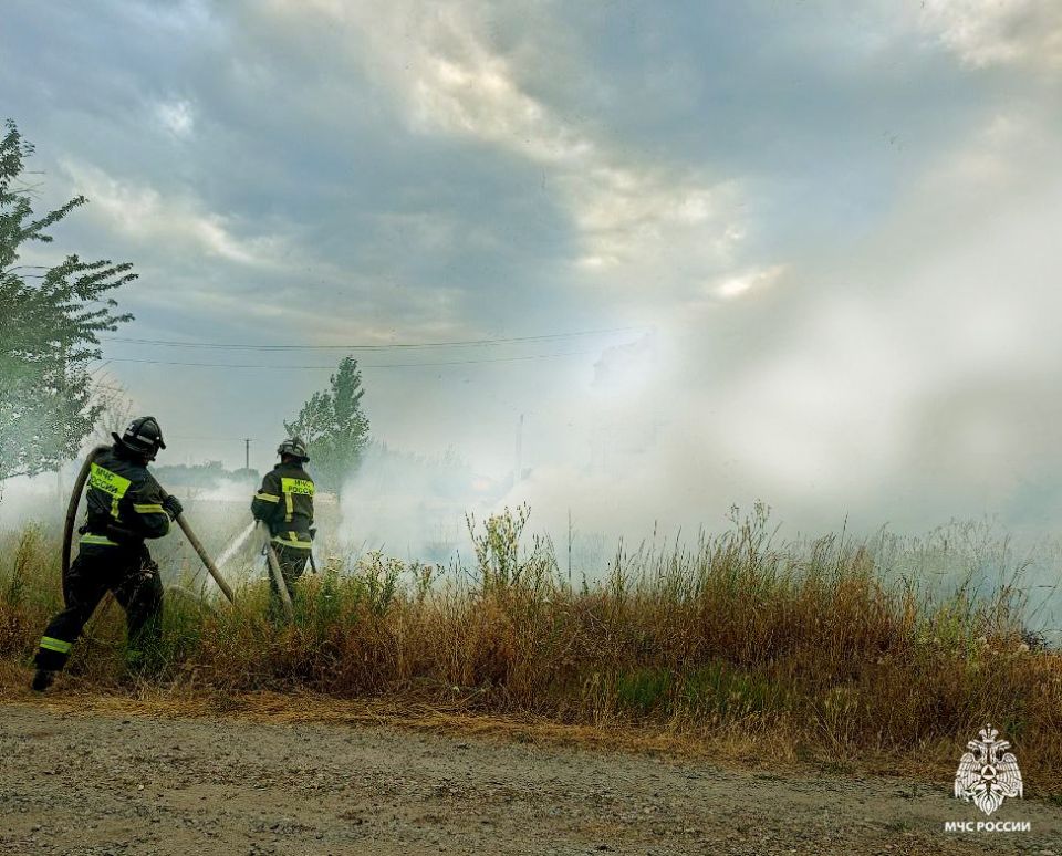 Оперативная информация за сутки