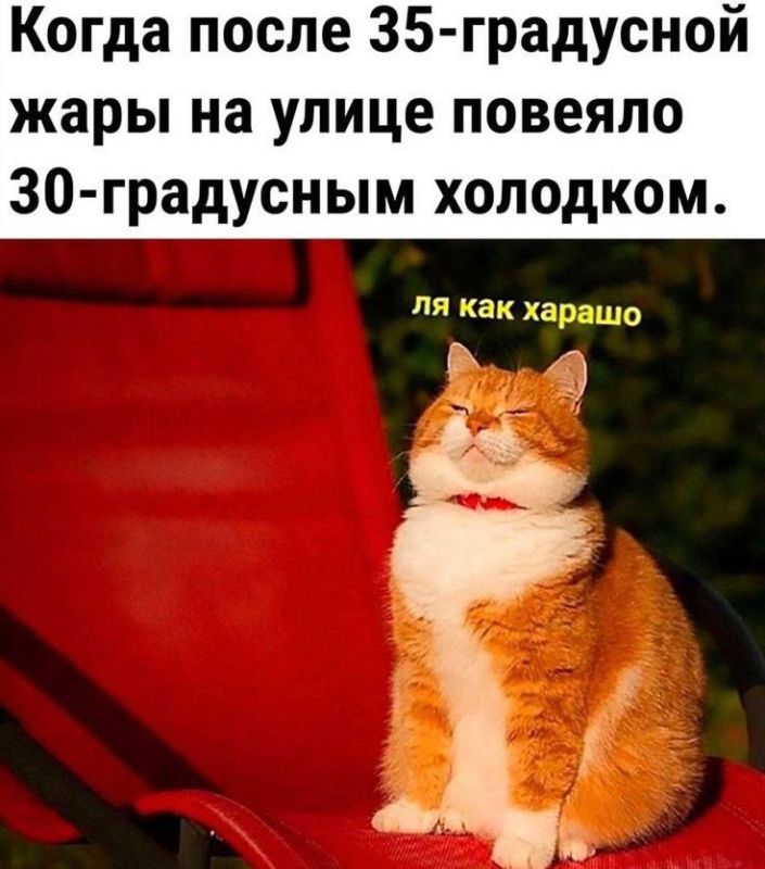 �����, ����� ������ ��������������� � ����� ����, ������ ��? �� �� � ���� ���������! �� �������� �������! �� � �����, ������� ��, ����� ������� "�� ����� ��� ��� ����"