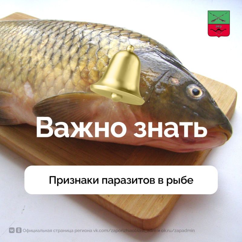 ���������� ������������� ������ ����