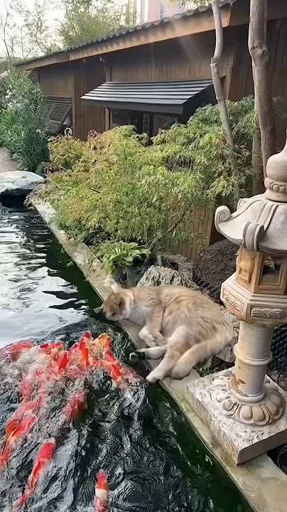 ��� � ������� � ����� ������� ����
