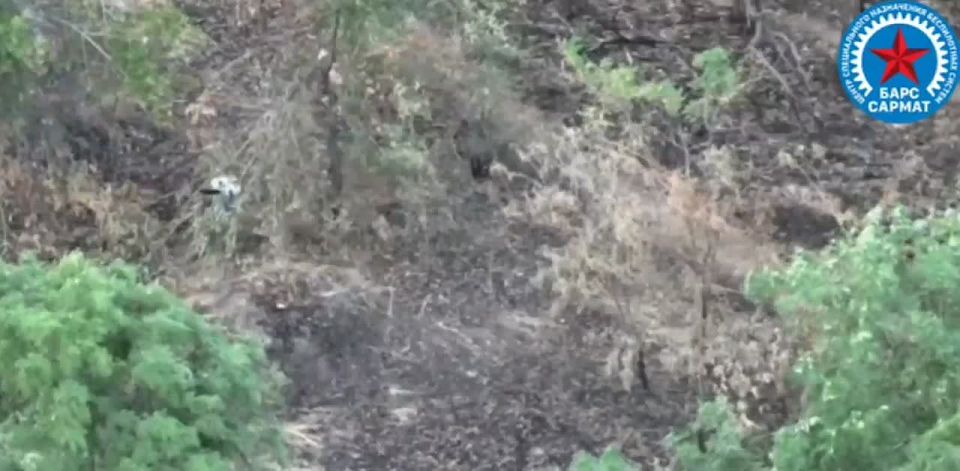 ������� �������: ���������� ������������ ������ � ����������� �����������