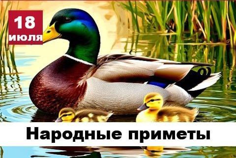 Народные приметы 18 июля. Если утром в небе видна радуга, то следующий день будет дождливым